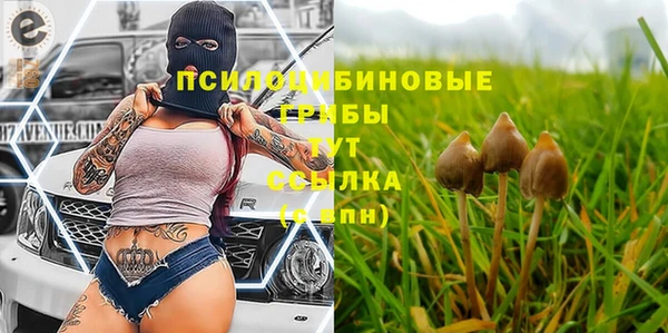 ECSTASY Нязепетровск
