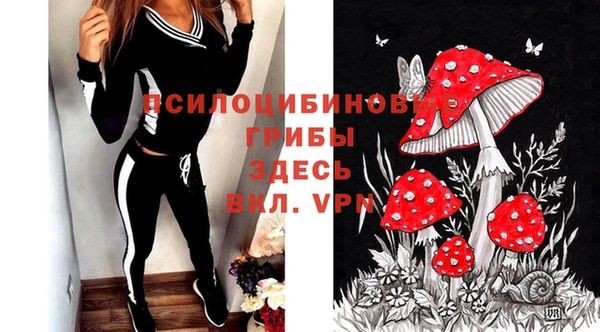 не бодяженный Аркадак