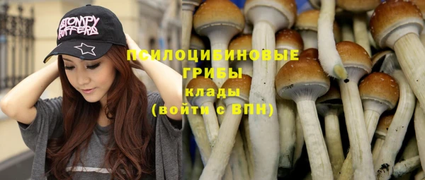 apvp Абаза